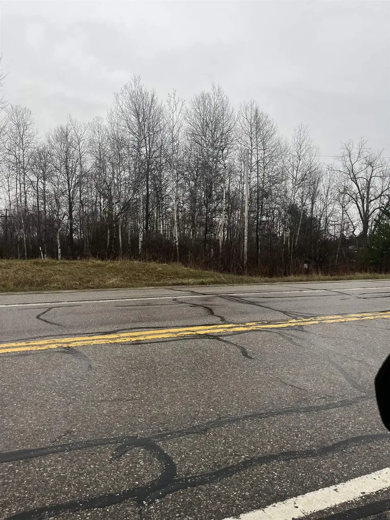 0 N Michigan Avenue Cedar Creek Township MI 49663