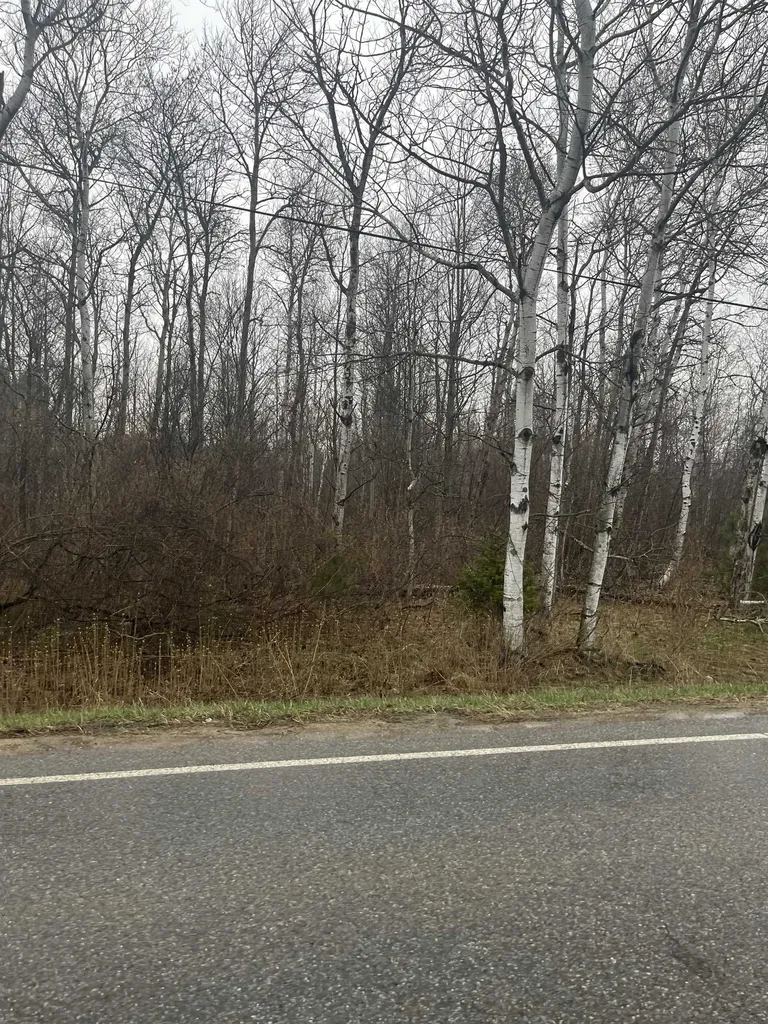 0 N Michigan Avenue Cedar Creek Township MI 49663