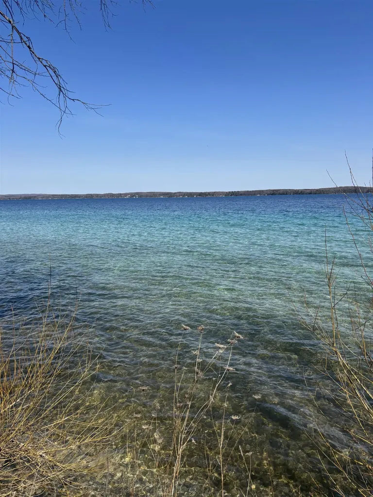 7079 Torch Lake Drive, NW Milton Township MI 49648