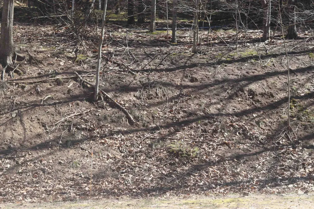 Lot 19 Crystal View Lake Township MI 49617