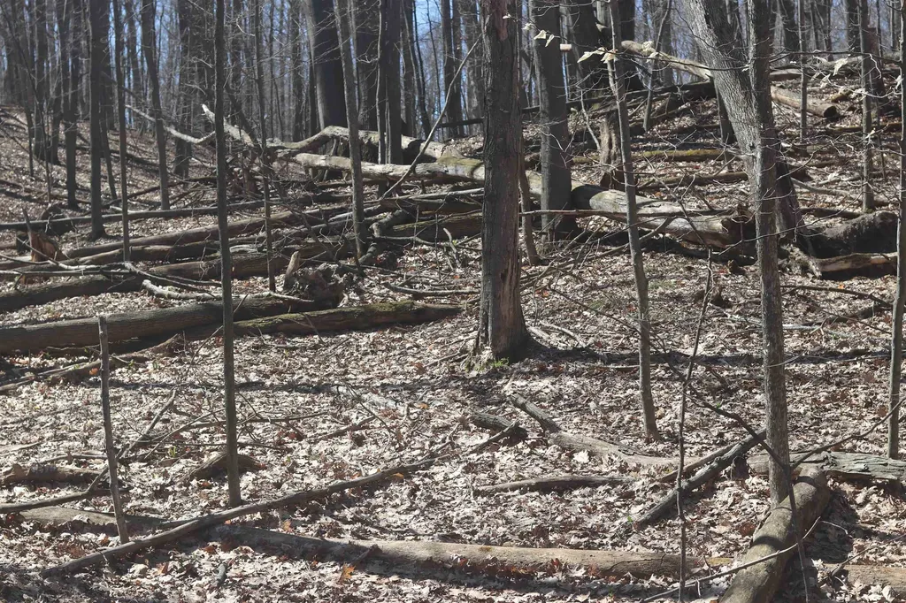 Lot 19 Crystal View Lake Township MI 49617