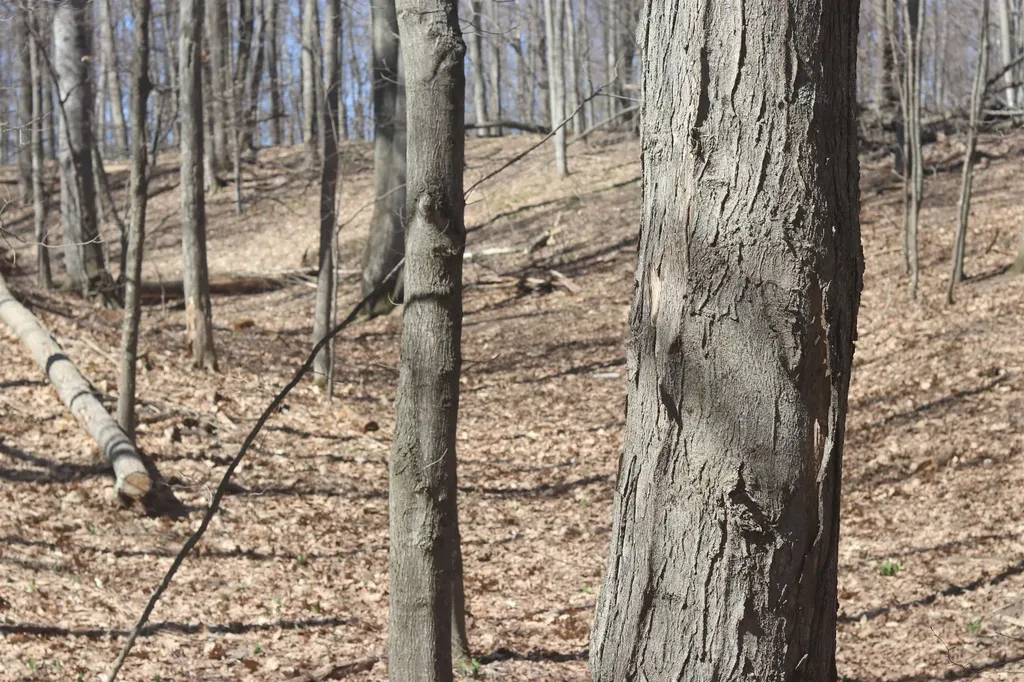 Lot 19 Crystal View Lake Township MI 49617