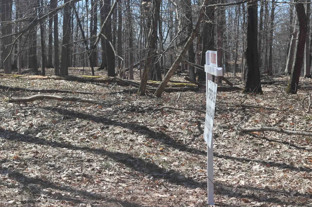 Lot 4 Crystal View Lake Township MI 49617