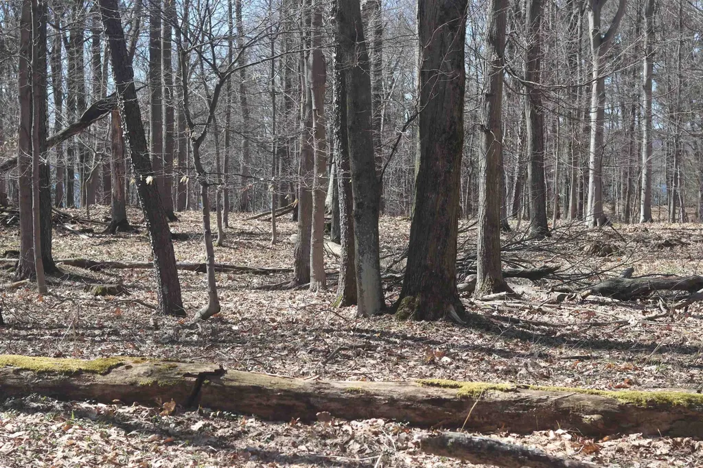 Lot 4 Crystal View Lake Township MI 49617