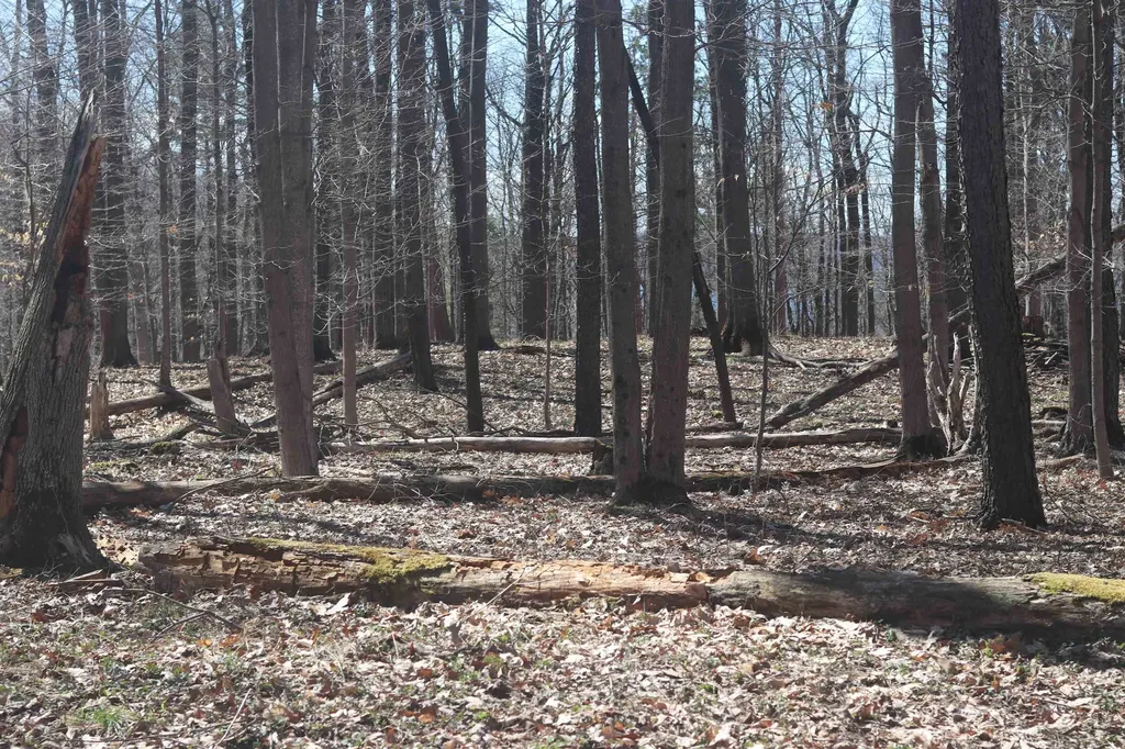 Lot 4 Crystal View Lake Township MI 49617