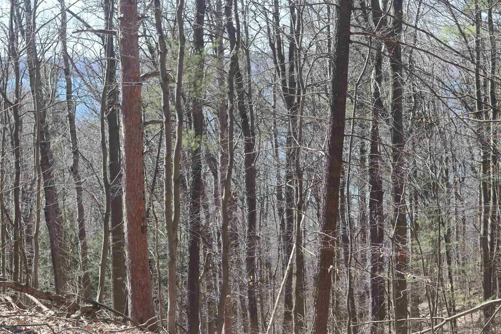 Lot 4 Crystal View Lake Township MI 49617
