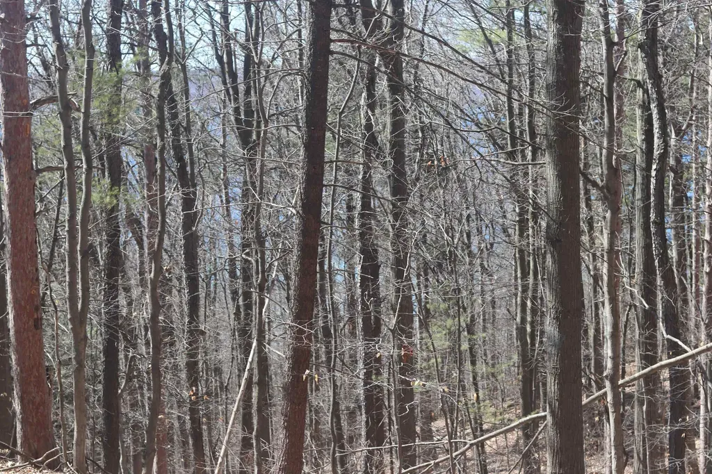 Lot 4 Crystal View Lake Township MI 49617