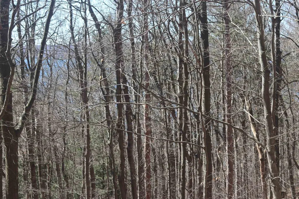 Lot 4 Crystal View Lake Township MI 49617