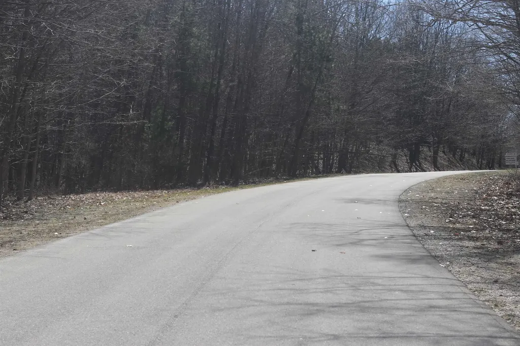 Lot 21 Crystal View Lake Township MI 49617