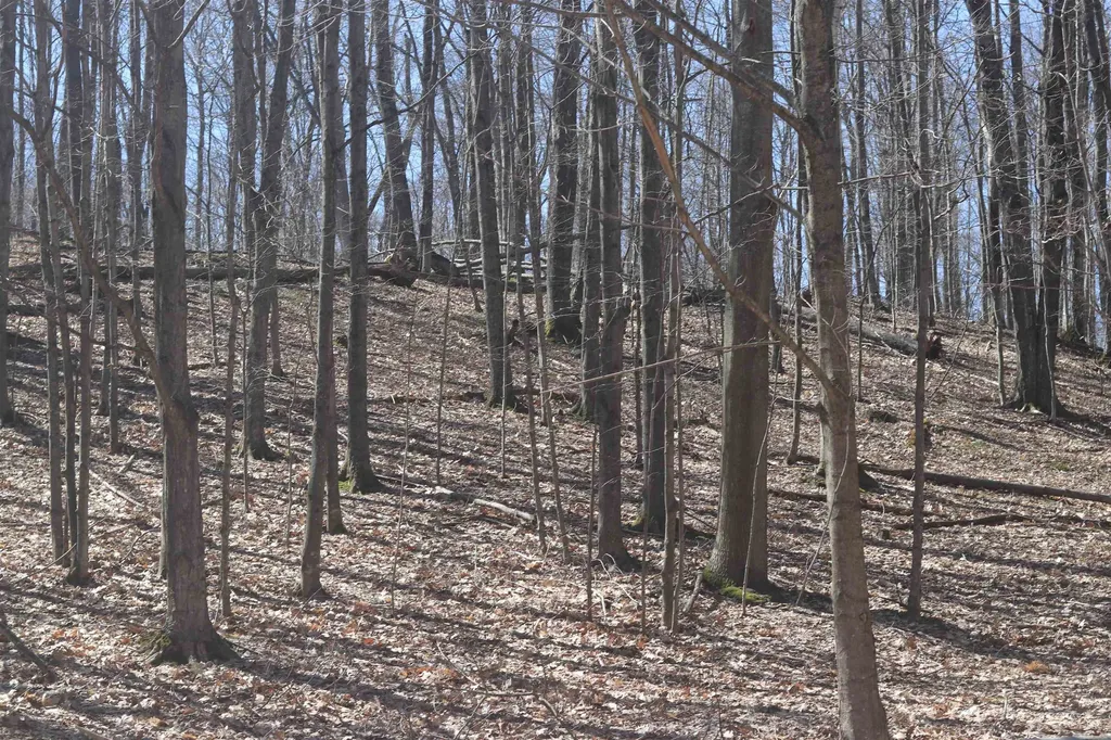 Lot 21 Crystal View Lake Township MI 49617