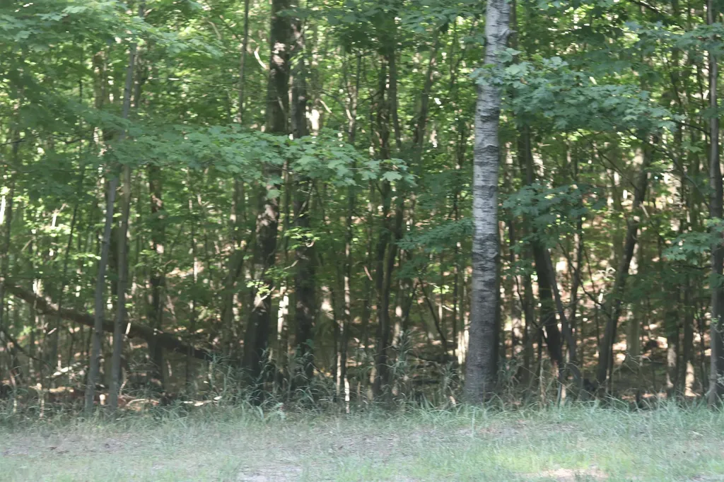 Lot 21 Crystal View Lake Township MI 49617