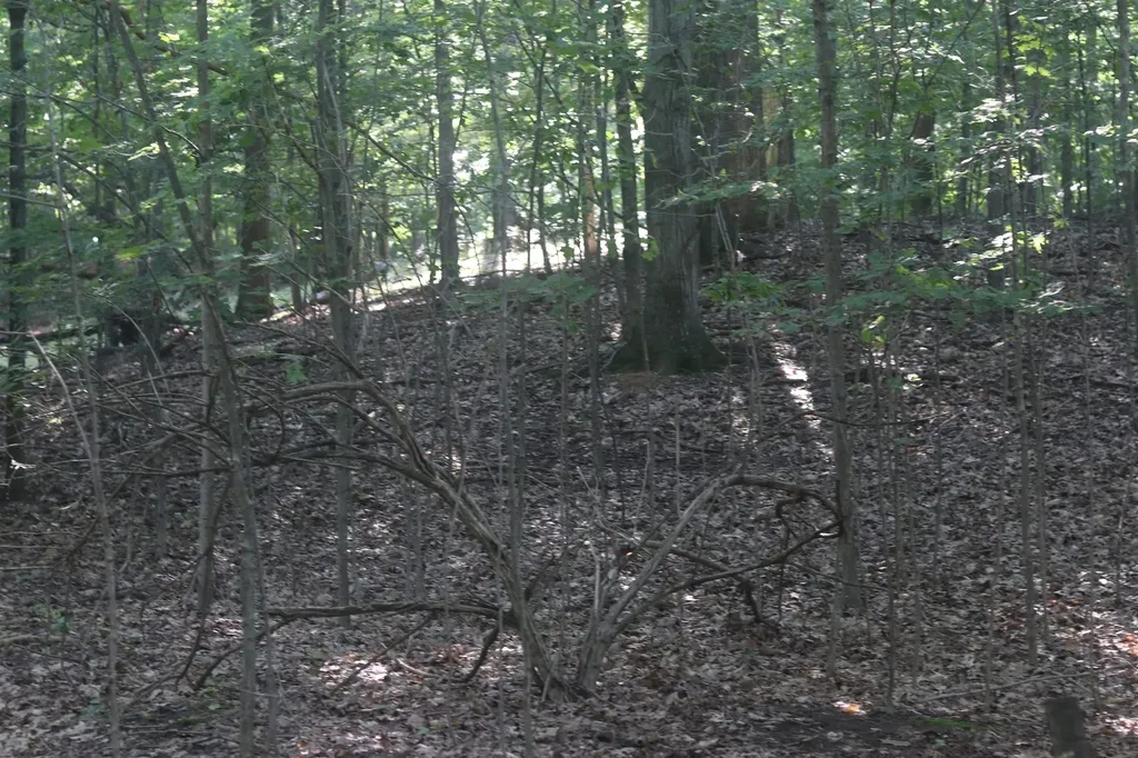 Lot 21 Crystal View Lake Township MI 49617