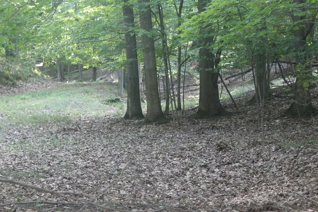 Lot 21 Crystal View Lake Township MI 49617