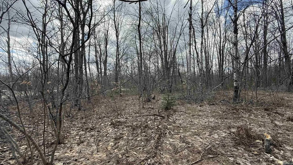 Lot 857 Hollyglen Drive Mancelona Township MI 49659