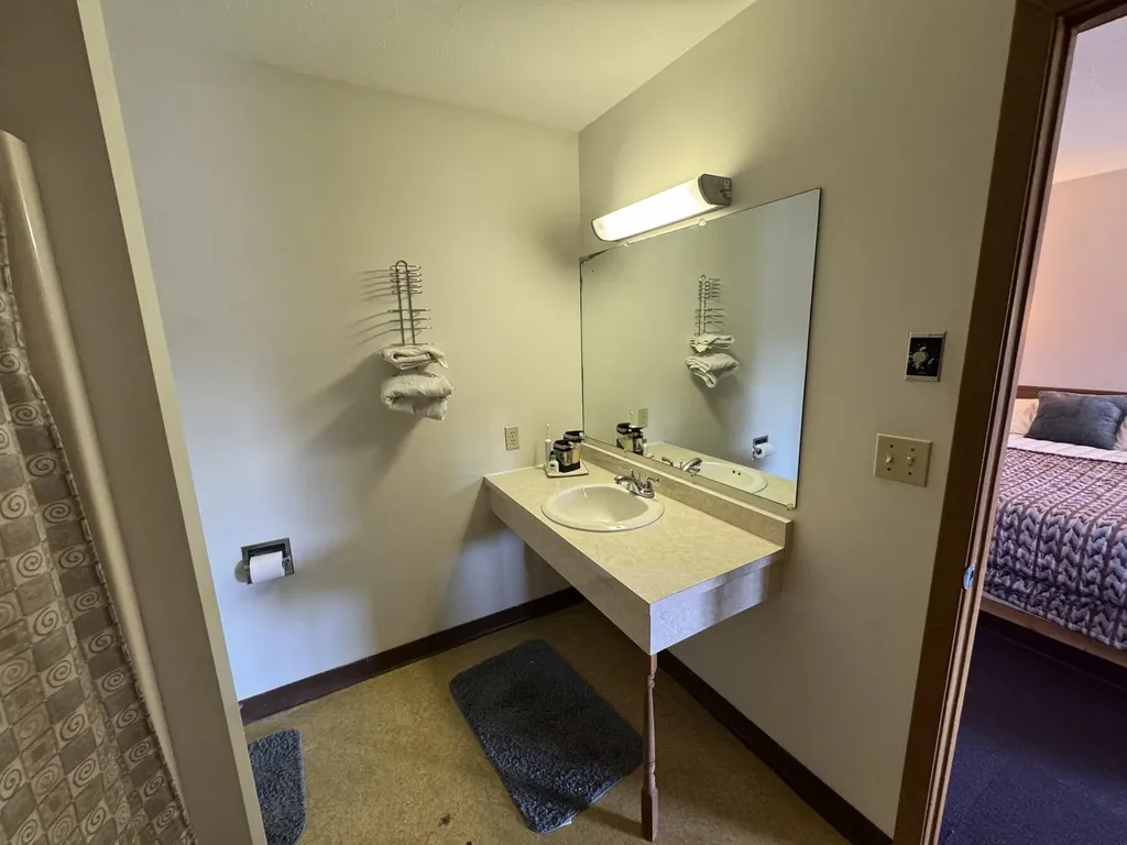 1341 S Lakeshore Drive Reeder Township MI 49651