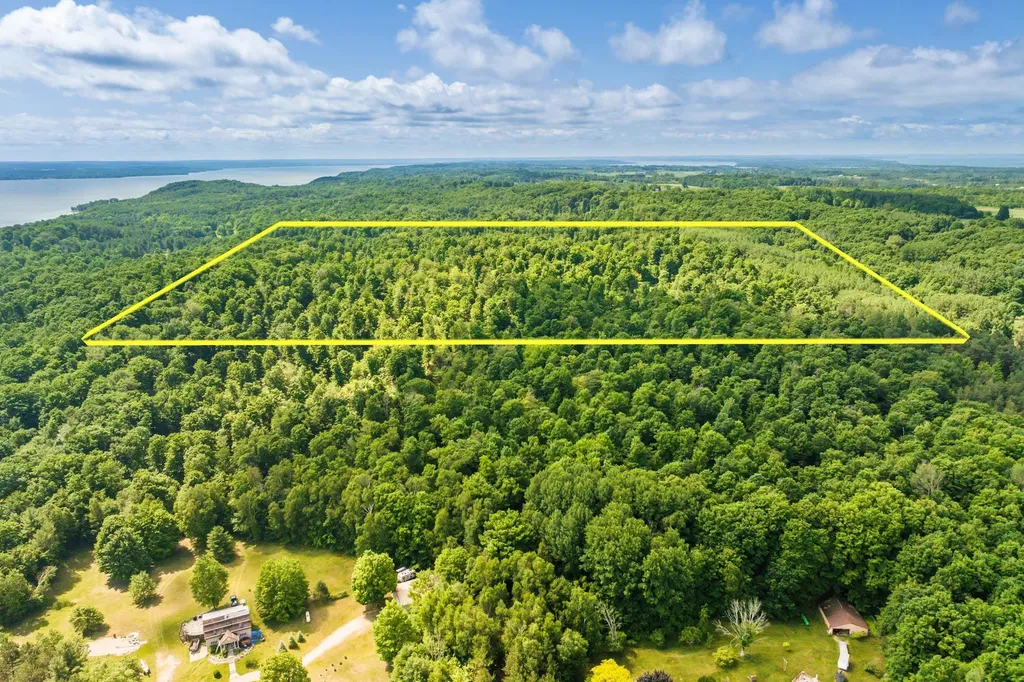 0000 Hjelte Road Torch Lake Township MI 49648