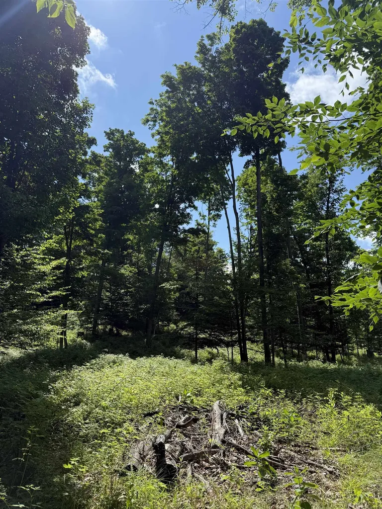 0000 Hjelte Road Torch Lake Township MI 49648