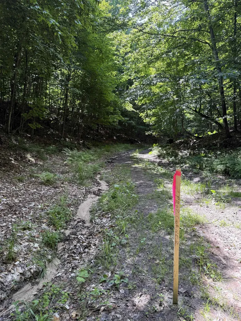 0000 Hjelte Road Torch Lake Township MI 49648