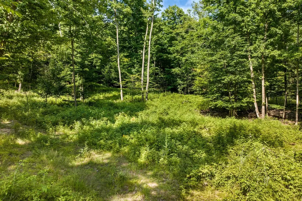 0000 Hjelte Road Torch Lake Township MI 49648