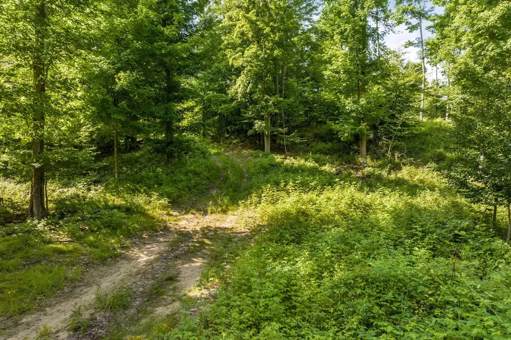 0000 Hjelte Road Torch Lake Township MI 49648