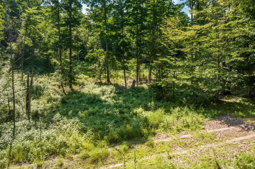 0000 Hjelte Road Torch Lake Township MI 49648