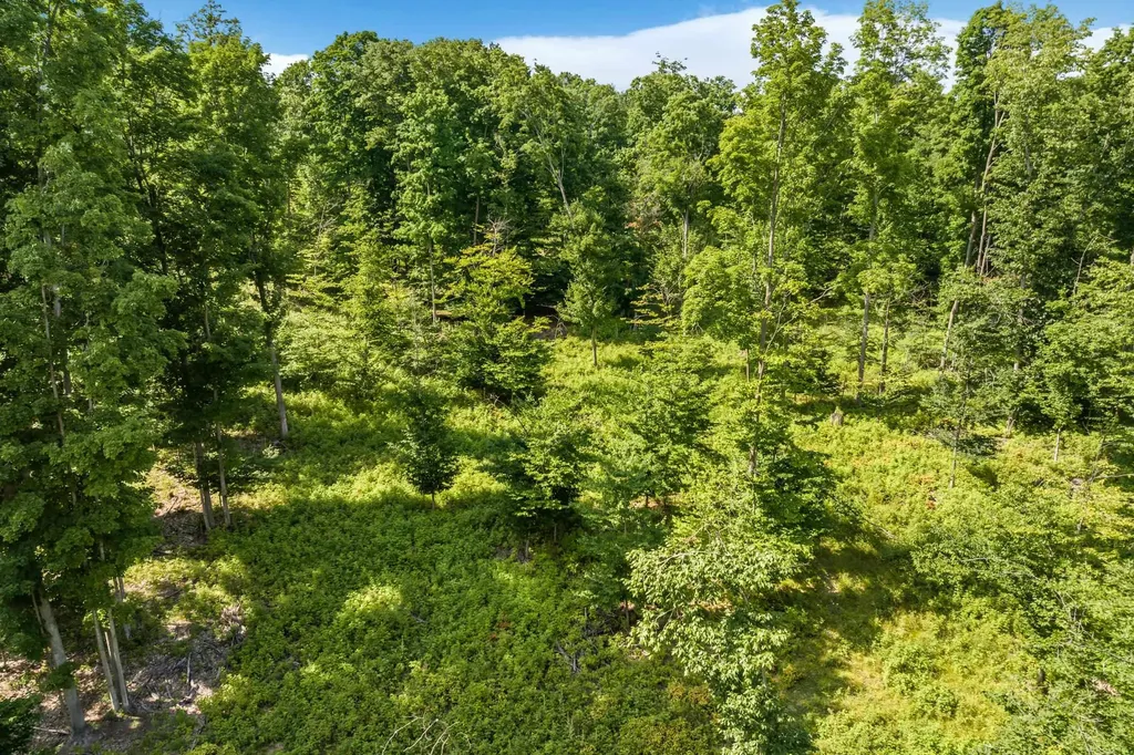 0000 Hjelte Road Torch Lake Township MI 49648