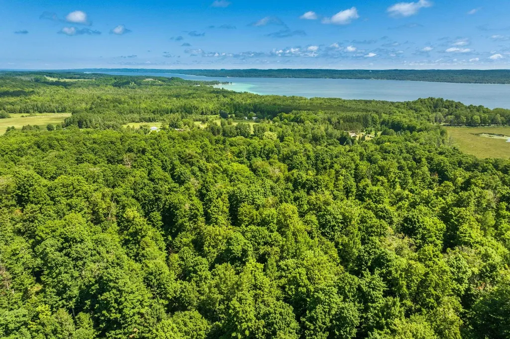 0000 Hjelte Road Torch Lake Township MI 49648