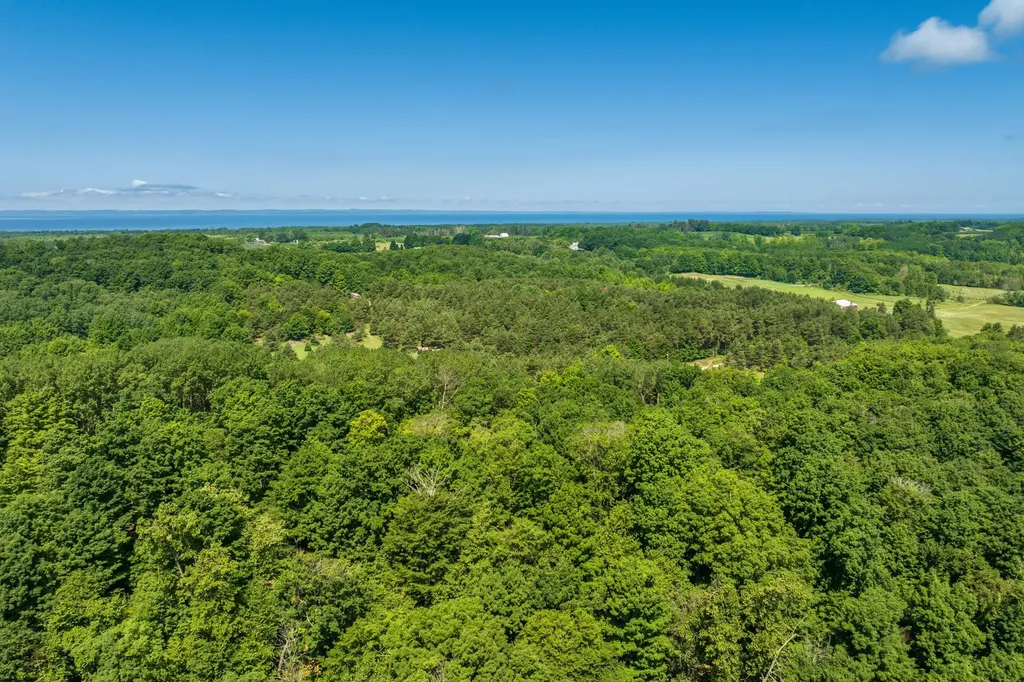 0000 Hjelte Road Torch Lake Township MI 49648