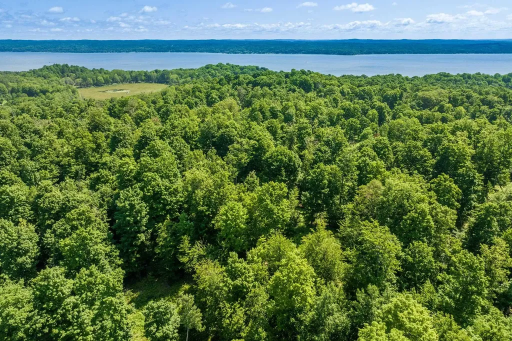 0000 Hjelte Road Torch Lake Township MI 49648