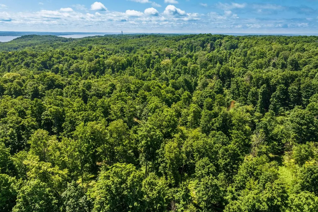 0000 Hjelte Road Torch Lake Township MI 49648
