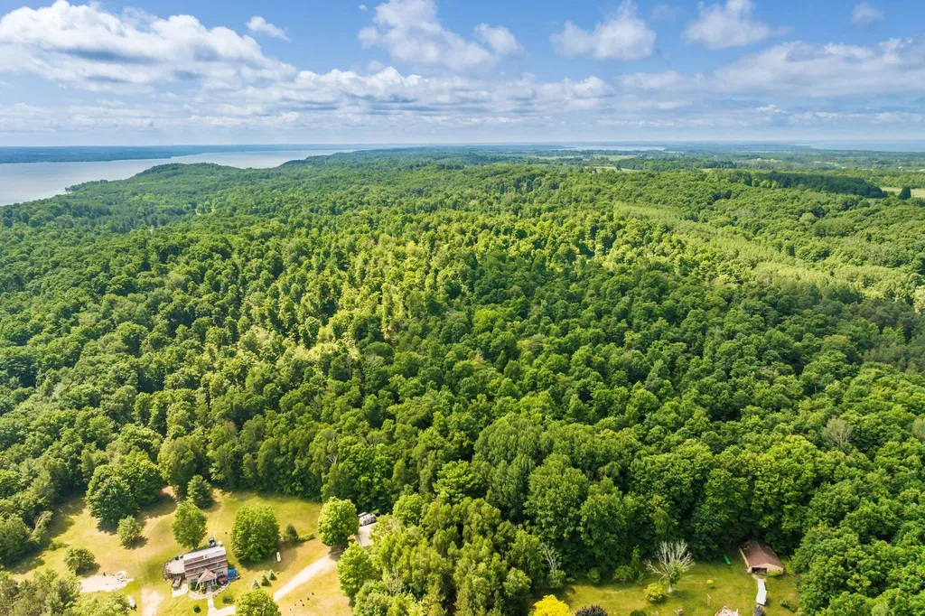 0000 Hjelte Road Torch Lake Township MI 49648