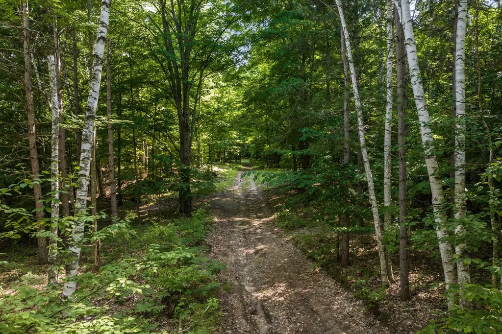 0000 Hjelte Road Torch Lake Township MI 49648