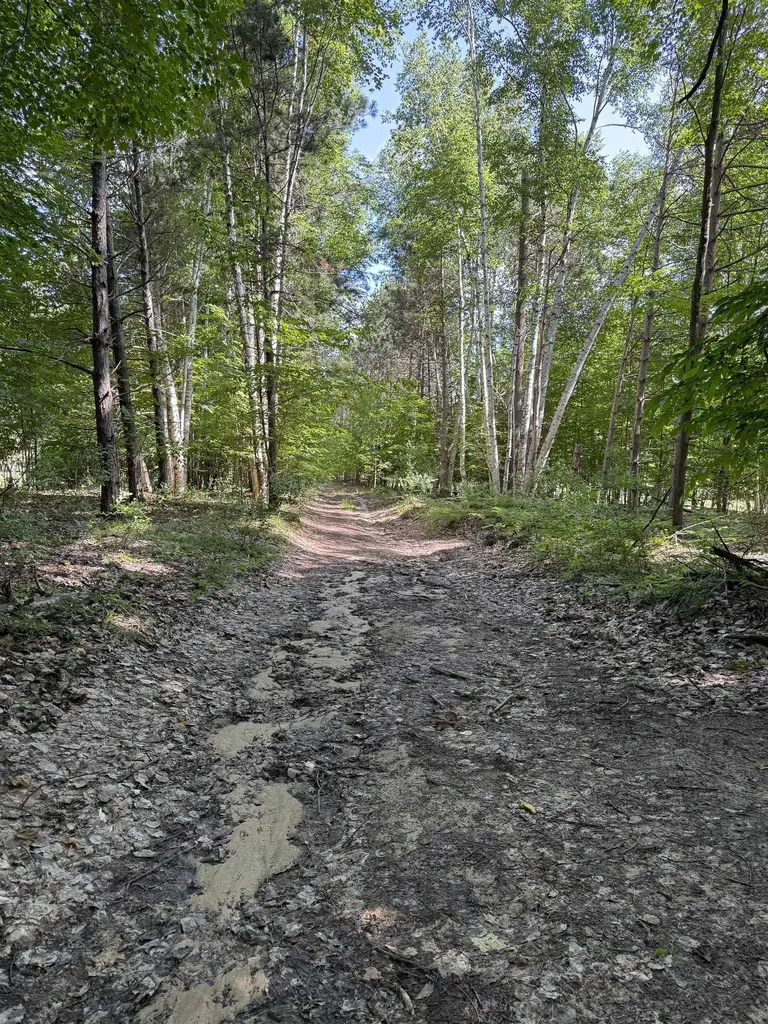 0000 Hjelte Road Torch Lake Township MI 49648