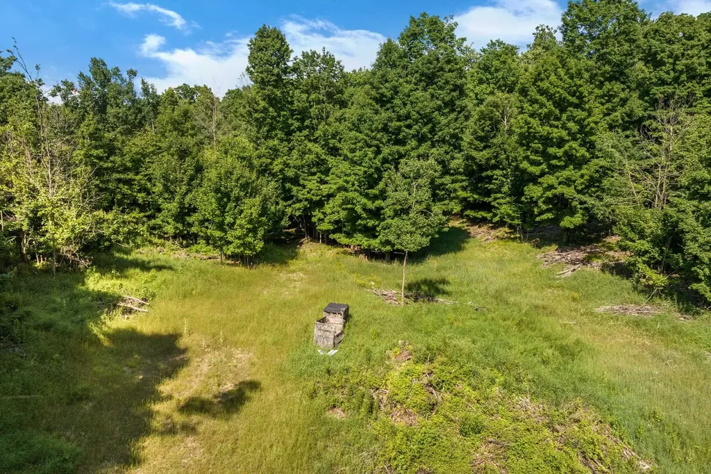 0000 Hjelte Road Torch Lake Township MI 49648