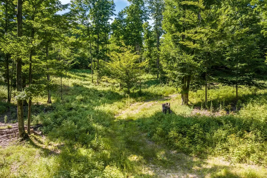 0000 Hjelte Road Torch Lake Township MI 49648