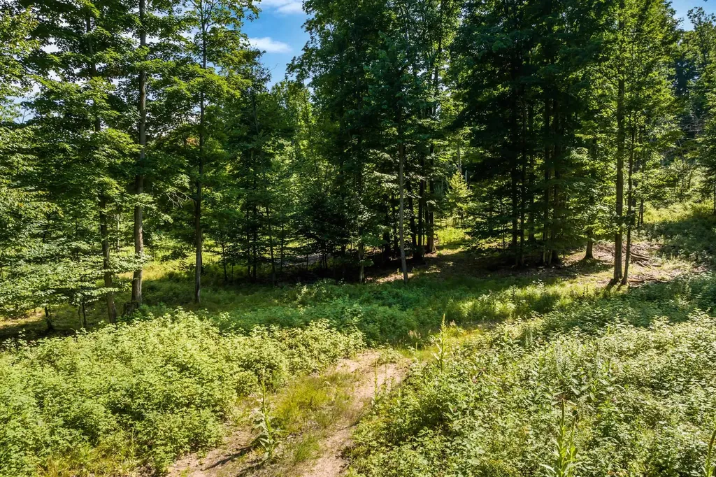0000 Hjelte Road Torch Lake Township MI 49648