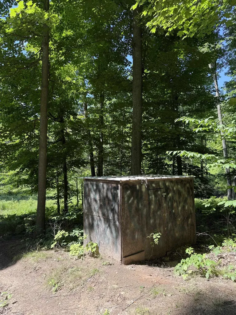 0000 Hjelte Road Torch Lake Township MI 49648