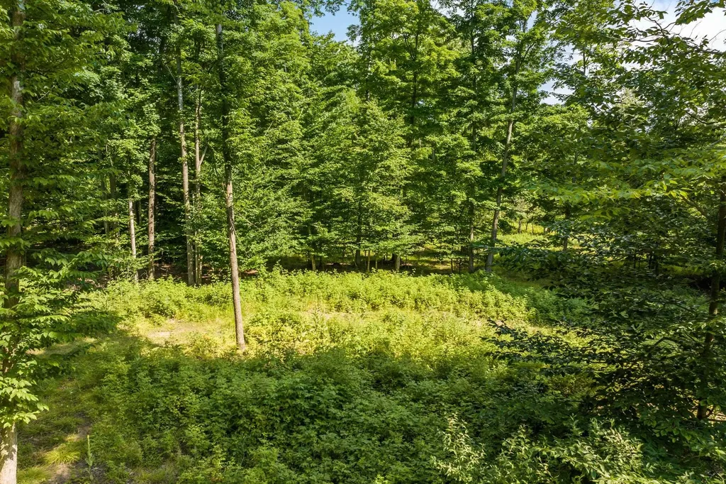 0000 Hjelte Road Torch Lake Township MI 49648