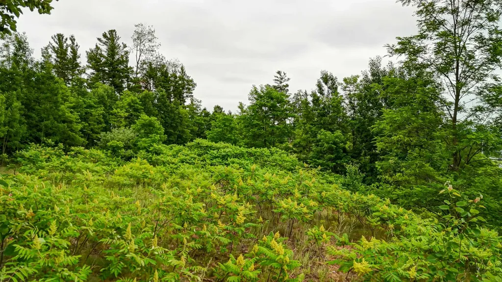 2050 N Keystone Garfield Charter Township MI 49686