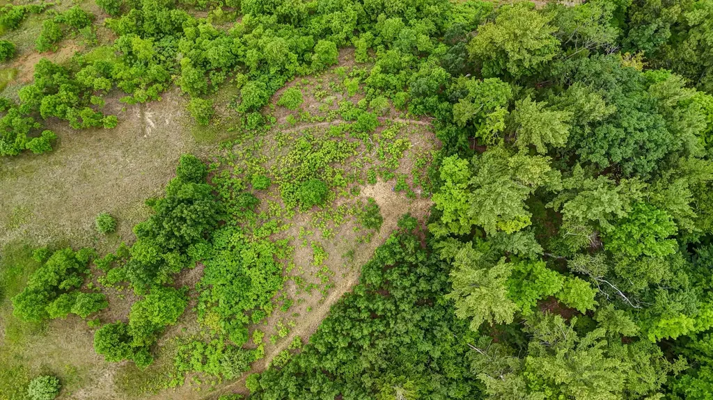 2050 N Keystone Garfield Charter Township MI 49686