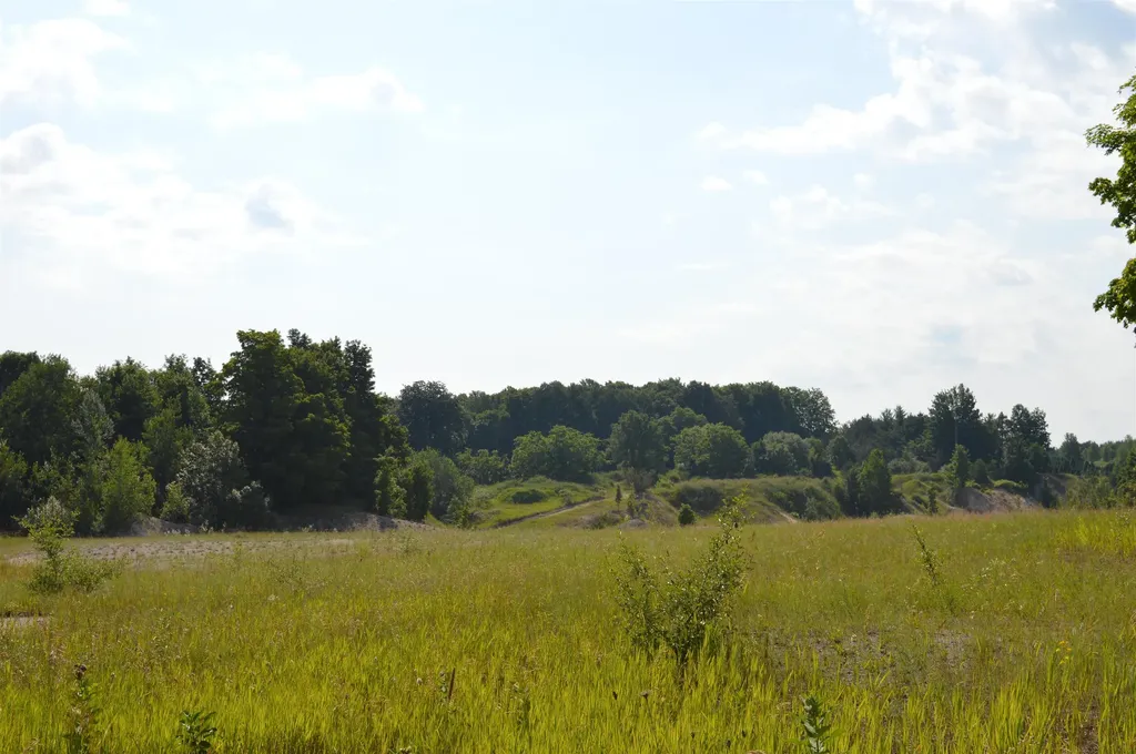 7573 Alden Highway Helena Township MI 49615