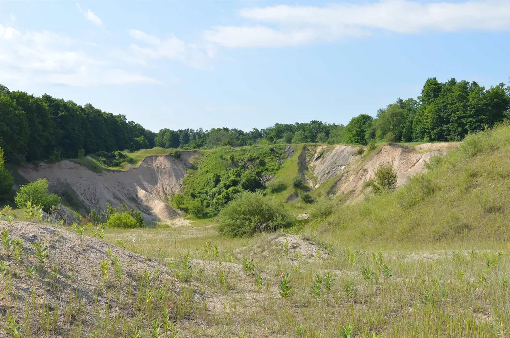 7573 Alden Highway Helena Township MI 49615
