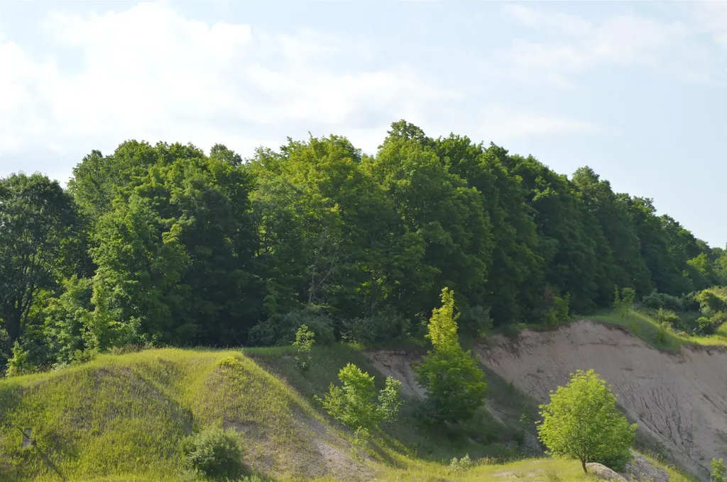 7573 Alden Highway Helena Township MI 49615