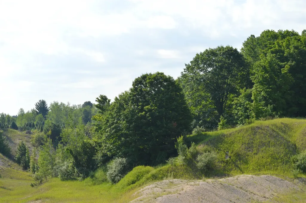 7573 Alden Highway Helena Township MI 49615