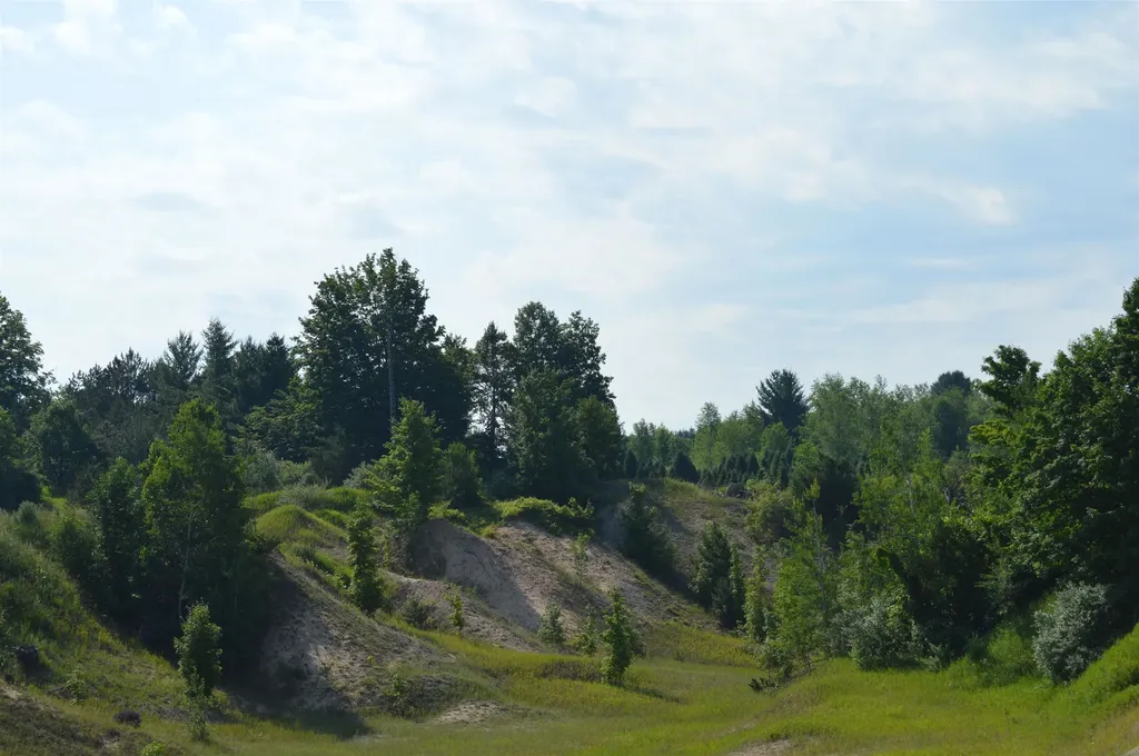 7573 Alden Highway Helena Township MI 49615
