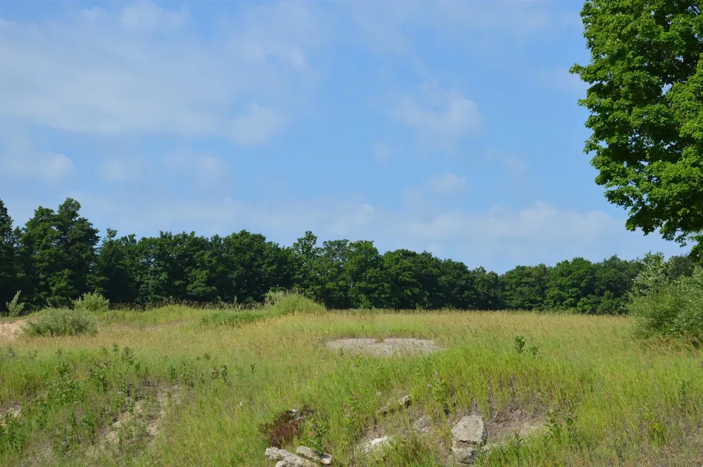 7573 Alden Highway Helena Township MI 49615