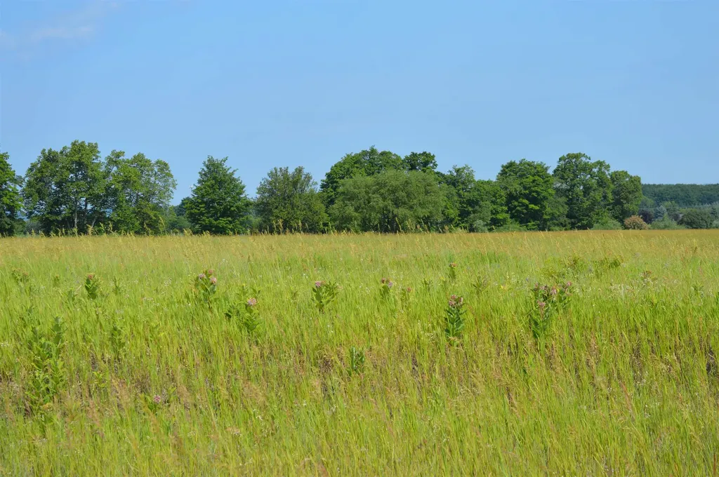 7573 Alden Highway Helena Township MI 49615