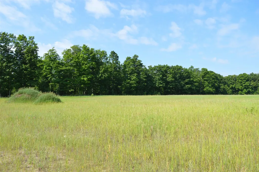 7573 Alden Highway Helena Township MI 49615