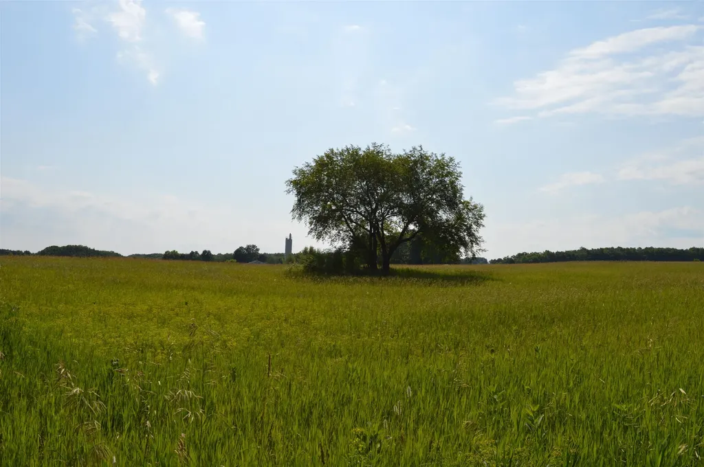 7573 Alden Highway Helena Township MI 49615