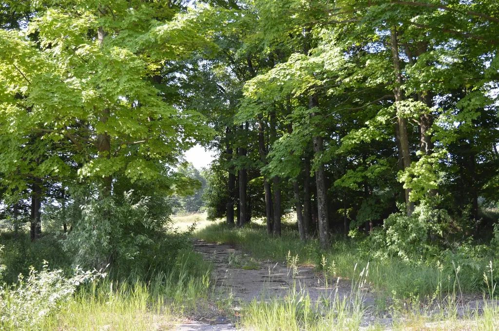 7573 Alden Highway Helena Township MI 49615